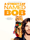 A-street-cat-named-bob