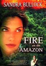 Fire on the Amazon
