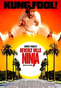  Beverly Hills Ninja