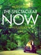 The-spectacular-now